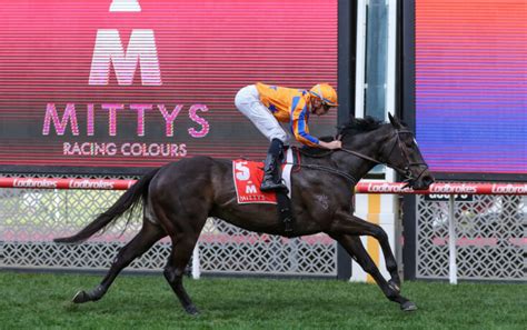 aj moir stakes|AJ Moir Stakes 2023 Odds & Field .
